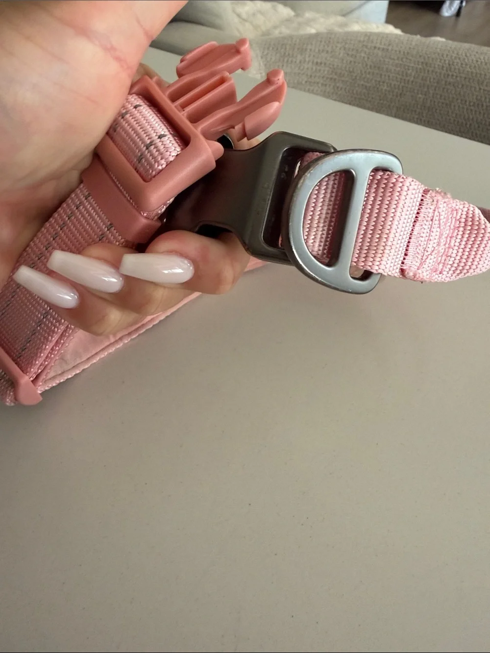 Pink Dog Collar